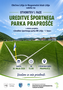 Slika nogometnega igrišča