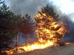 Razglas velike požarne ogroženosti naravnega okolja od 20.7.2022