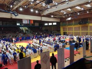 46733031_2359628730717876_7186201656030134272_n