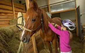 7612_1516364504_16_podkvic_pocitnice