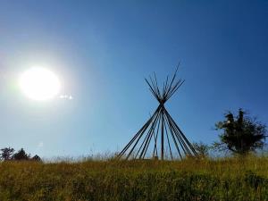 61956810_2261943194070469_9127528127952584704_n