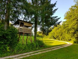 62082387_2261943507403771_4618394589840015360_n