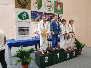 IMG-57b1421c328e1a9c1b2e8c4dc3e0a5be-V