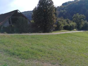 IMG_20200921_161645