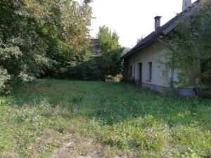 l_254627IMG_20200921_160444