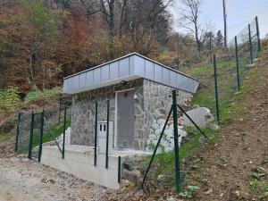 Resized_20201113_075956