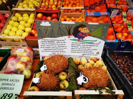 132791039_2770480929834196_6584962787955773179_o