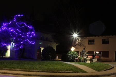 132490936_2770476616501294_1748950312885352257_o