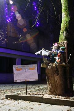 132958417_2770476583167964_977784706231610752_o