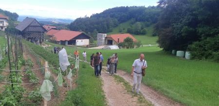 Brinovčeva domačija v Slavini.