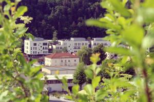 Medgeneracijsko središče Šmelc