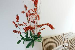 Medgeneracijsko središče Šmelc