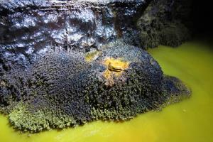 Ureditev Rudnika Sitarjevec za namen turističnih ogledov