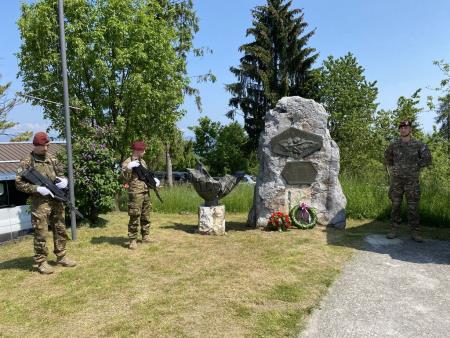 10533_1685351425_img_0115