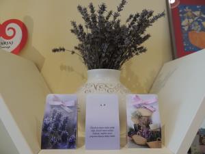 19983791_238061486701802_7533314360235719378_o