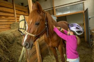 Zavod_16_podkvic_005