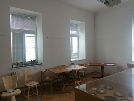 Razstava v Mestnem muzeju