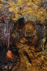 19620422_851446201677981_4203806645323243841_o