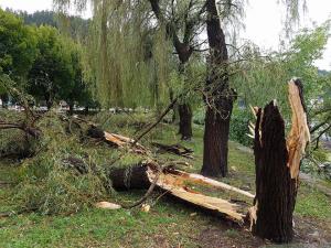 21167855_10213766052163870_8535200376659392088_o