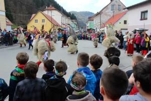 1959537_300569960097177_188636636_n